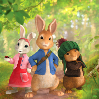 The Tale of Peter Rabbit - Fondos de pantalla gratis para 1024x1024