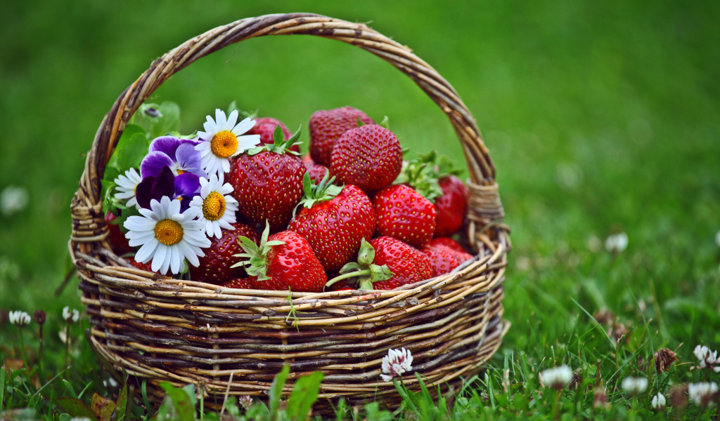 Обои Strawberries in Baskets 1024x600