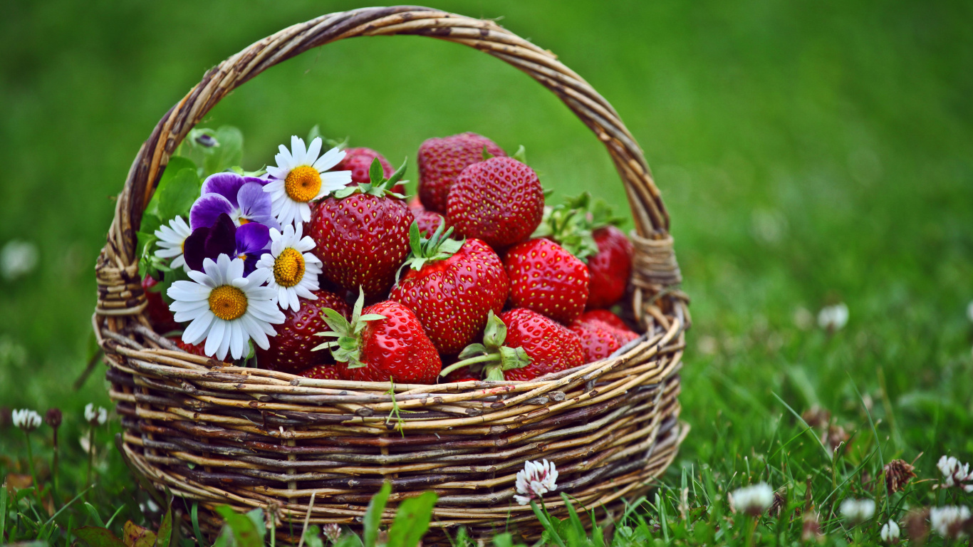 Обои Strawberries in Baskets 1366x768