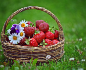 Das Strawberries in Baskets Wallpaper 176x144