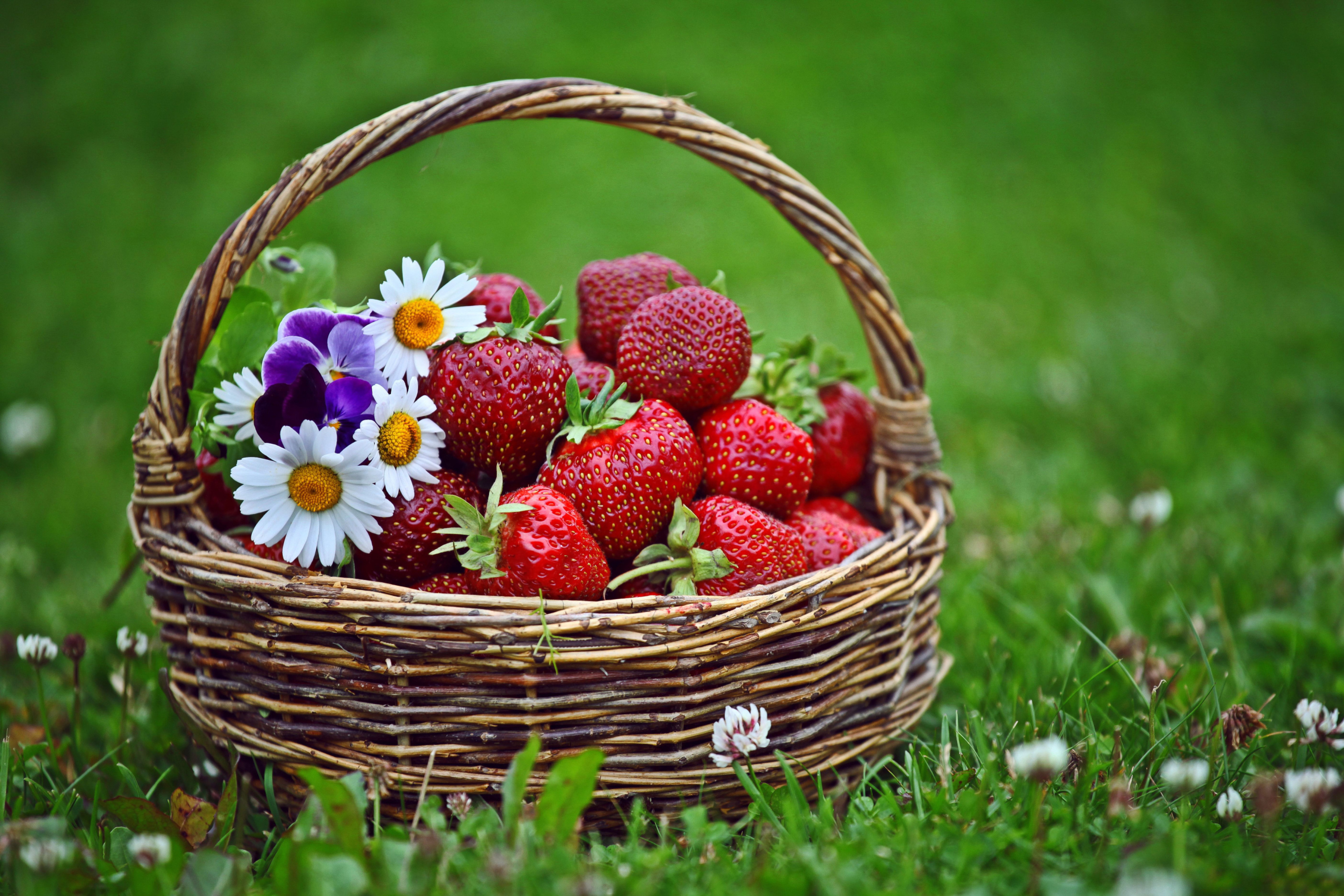 Обои Strawberries in Baskets 2880x1920
