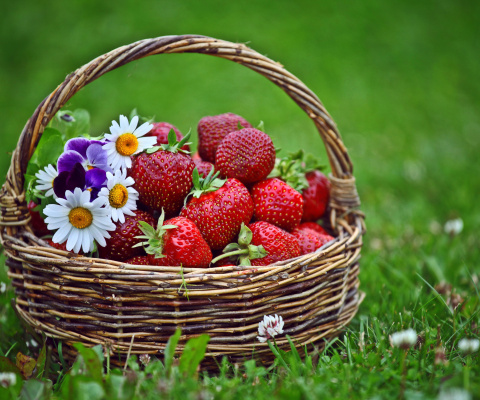 Обои Strawberries in Baskets 480x400