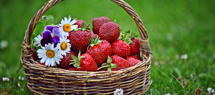 Обои Strawberries in Baskets 720x320