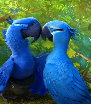 Rio 2 - Fondos de pantalla gratis para iPhone 5C