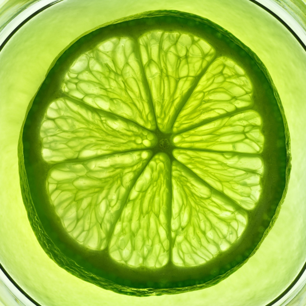 Lime Citrus Fruit screenshot #1 1024x1024