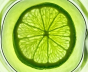 Screenshot №1 pro téma Lime Citrus Fruit 176x144