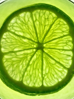 Lime Citrus Fruit wallpaper 240x320