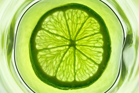 Screenshot №1 pro téma Lime Citrus Fruit 480x320