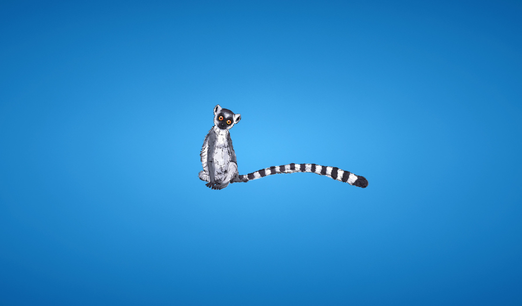 Sfondi Lemur On Blue Background 1024x600