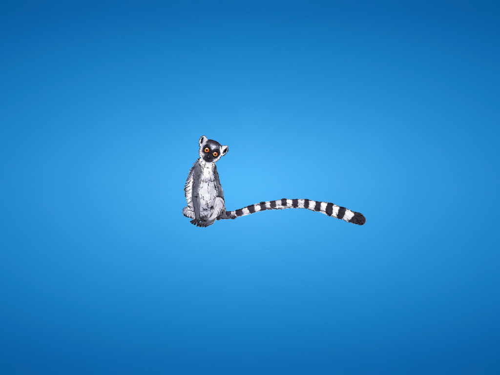 Lemur On Blue Background screenshot #1 1024x768