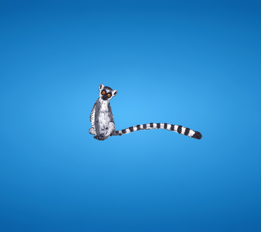 Обои Lemur On Blue Background 1080x960