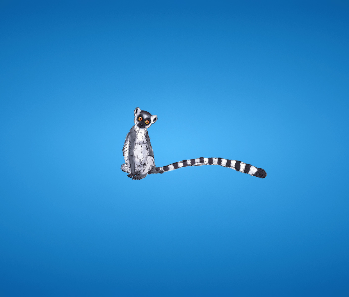 Fondo de pantalla Lemur On Blue Background 1200x1024