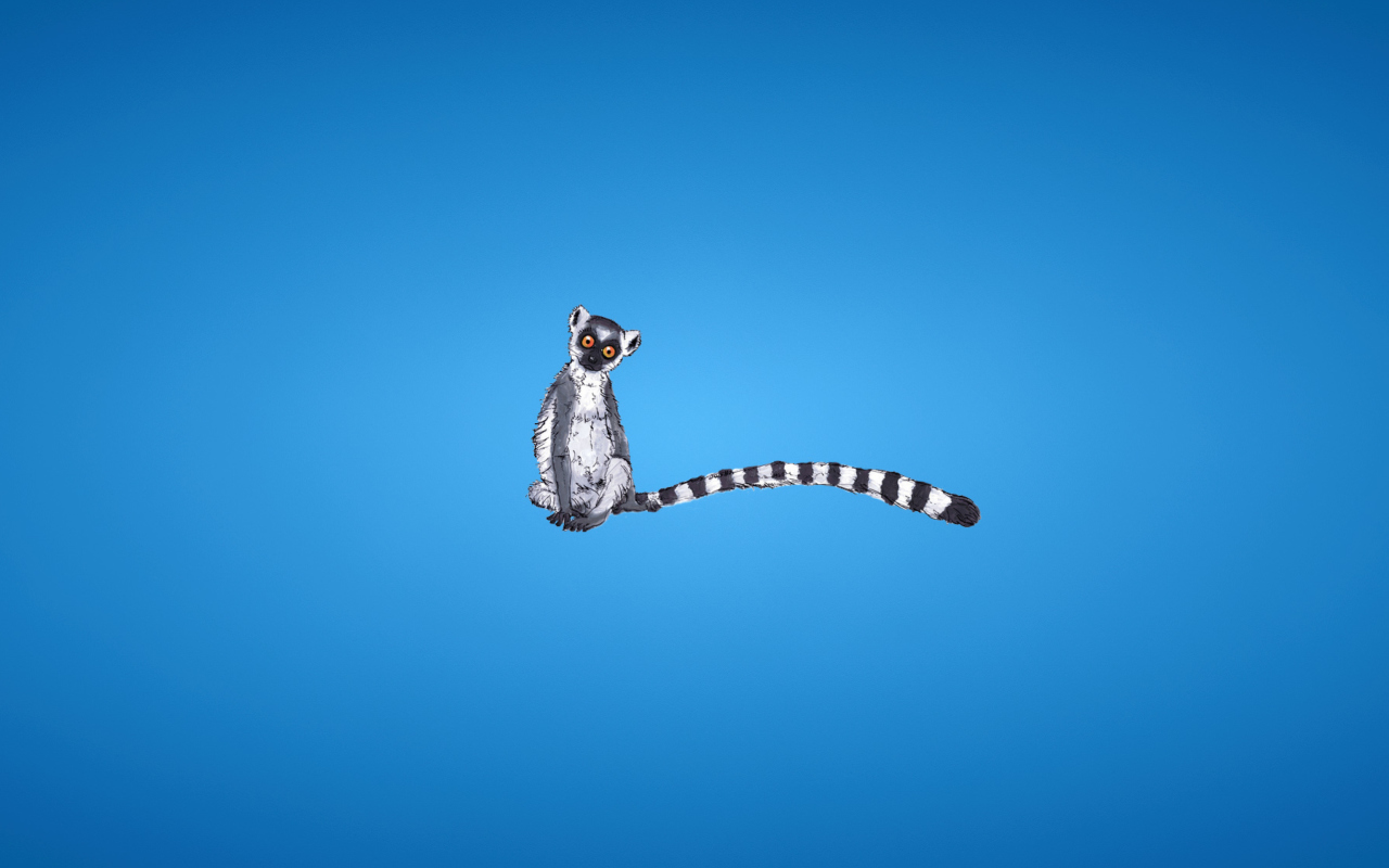 Sfondi Lemur On Blue Background 1280x800