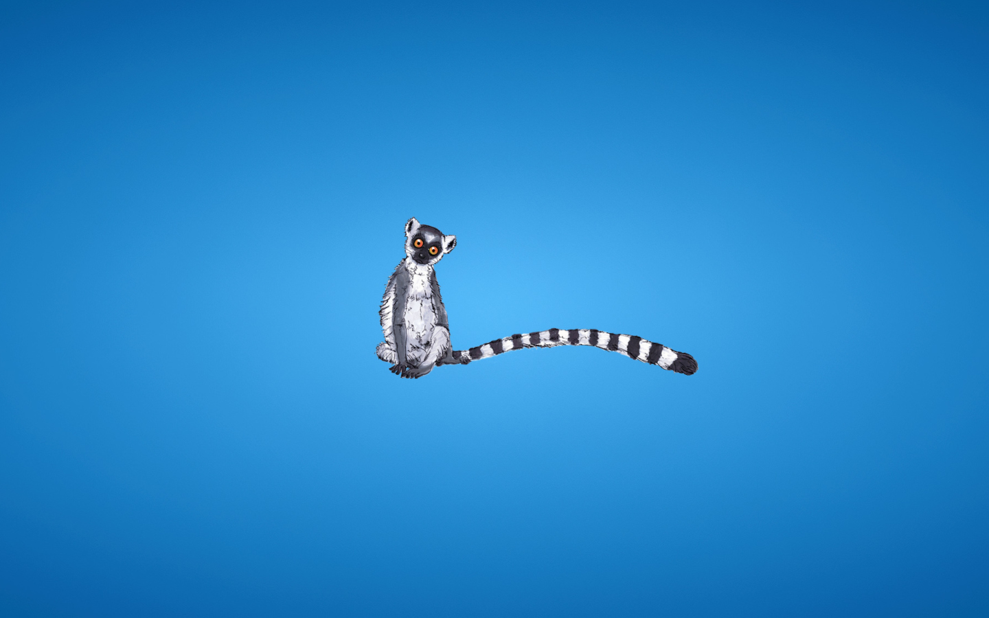 Screenshot №1 pro téma Lemur On Blue Background 1440x900