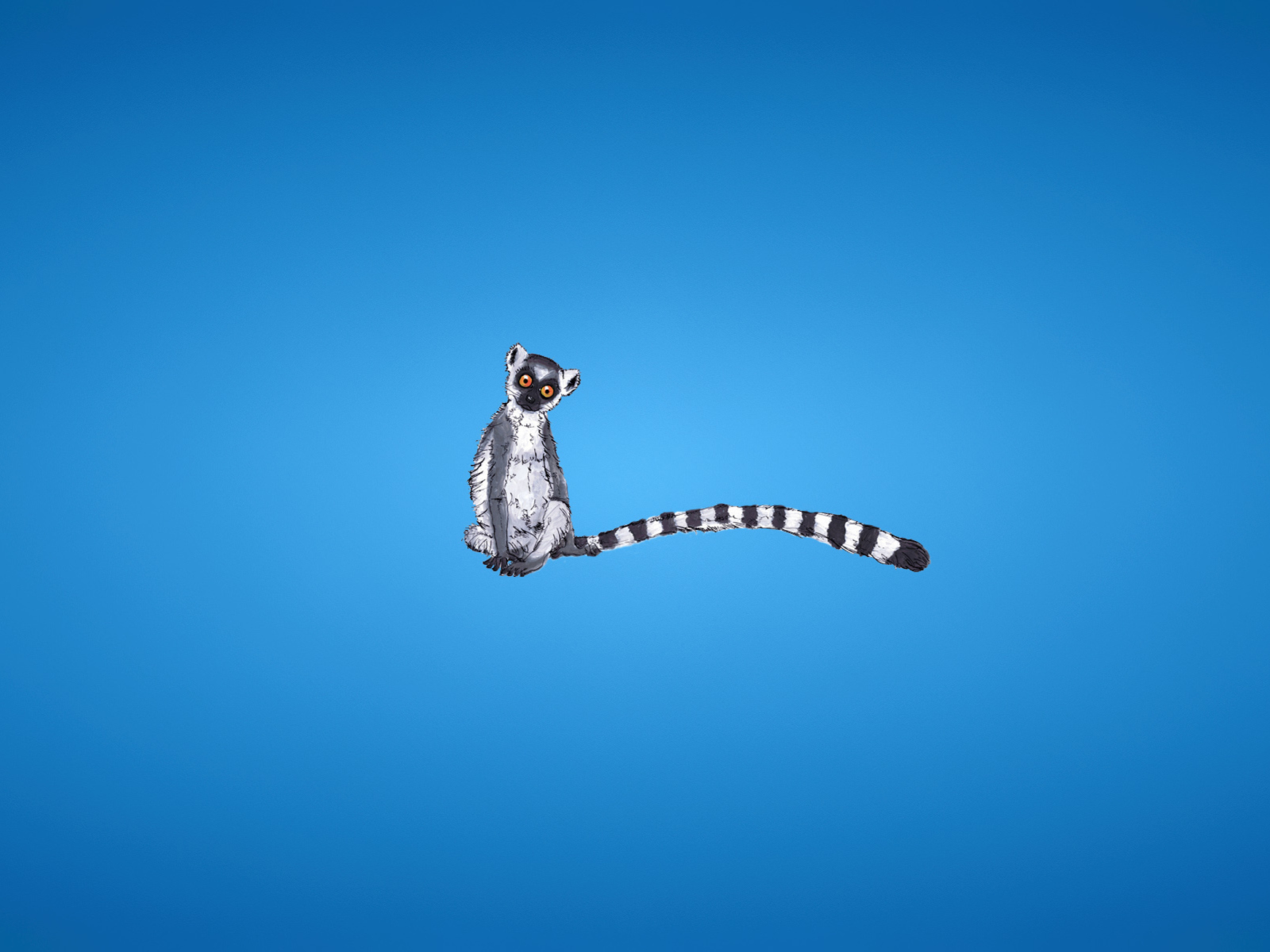 Fondo de pantalla Lemur On Blue Background 1600x1200