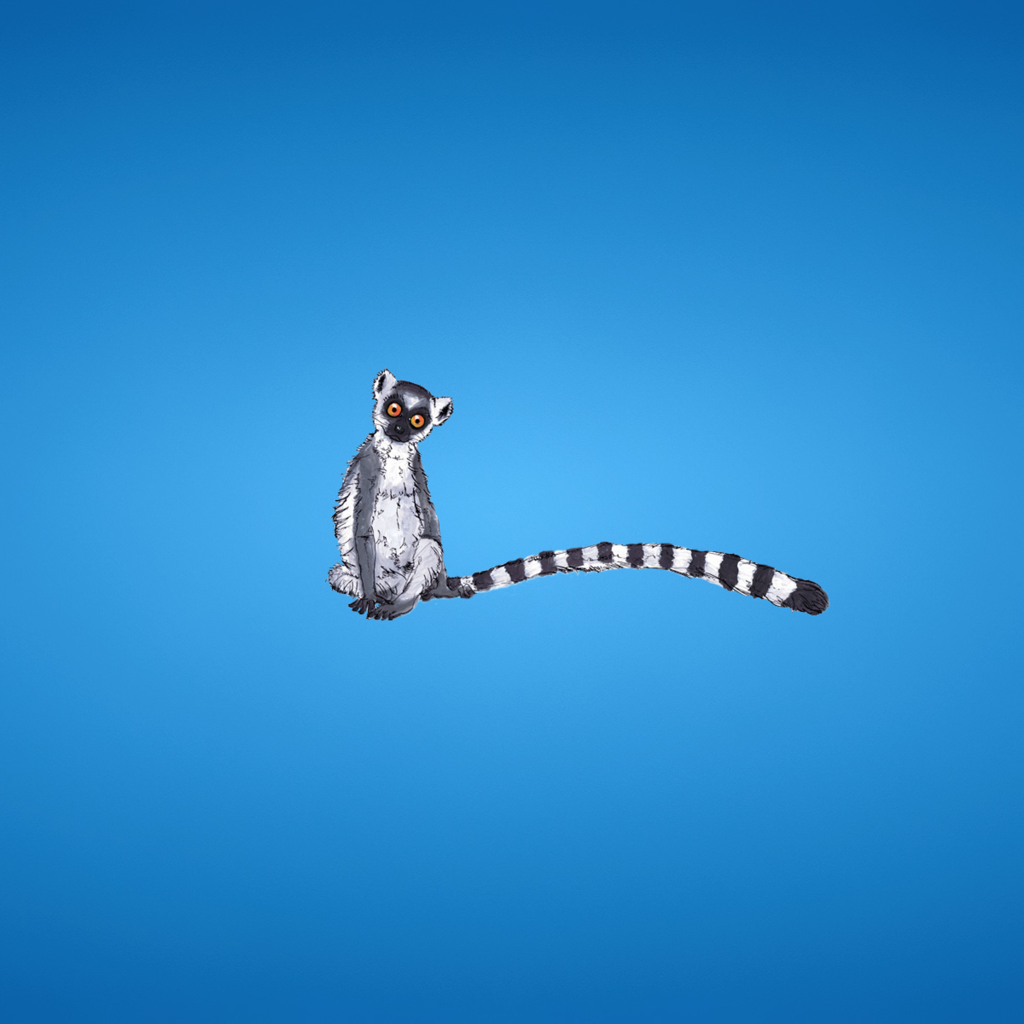 Обои Lemur On Blue Background 2048x2048