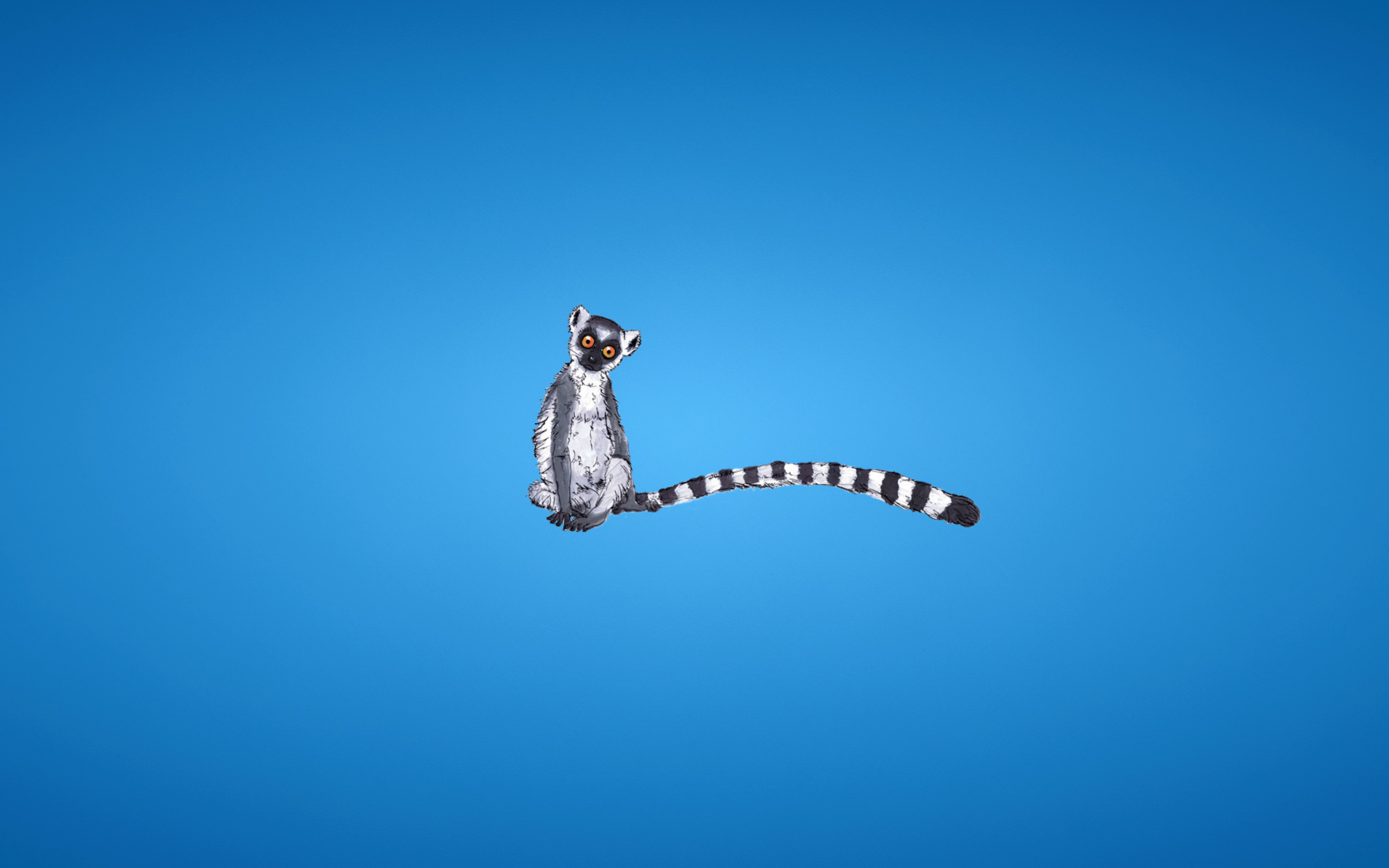 Обои Lemur On Blue Background 2560x1600