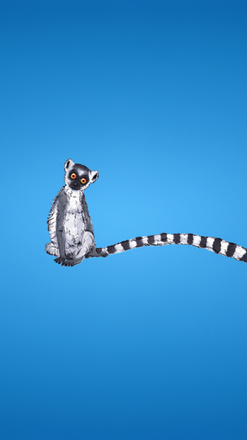 Fondo de pantalla Lemur On Blue Background 360x640