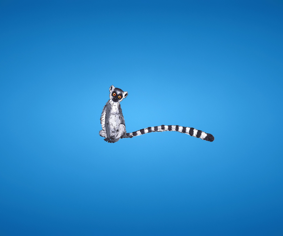 Lemur On Blue Background wallpaper 960x800