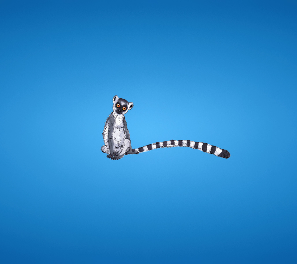 Обои Lemur On Blue Background 960x854