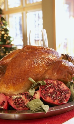 Das Turkey on Thanksgiving Day Wallpaper 240x400
