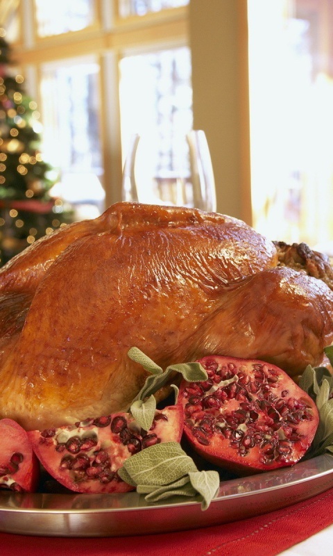 Das Turkey on Thanksgiving Day Wallpaper 480x800