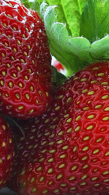 Screenshot №1 pro téma Macro Strawberries 360x640