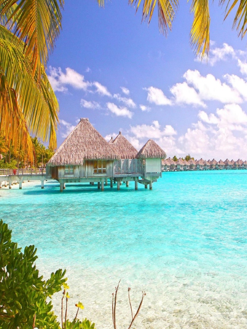 Screenshot №1 pro téma Blue Lagoon Island - Bahamas 480x640
