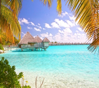 Kostenloses Blue Lagoon Island - Bahamas Wallpaper für iPad mini 2