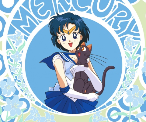 Screenshot №1 pro téma Sailor Moon With Cat 480x400