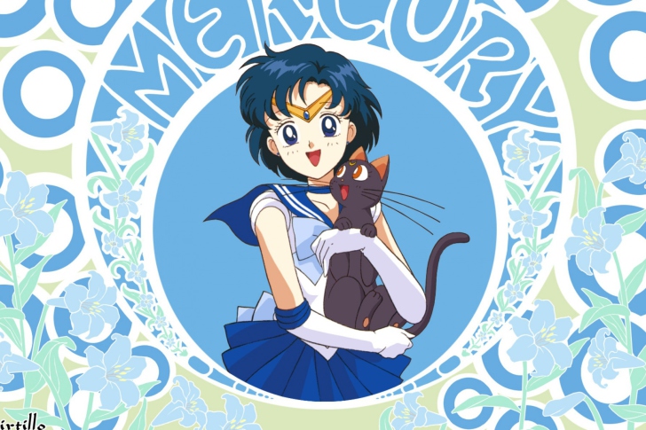 Sailor Moon With Cat wallpaper