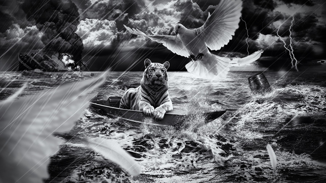 Tiger In Storm wallpaper 1280x720