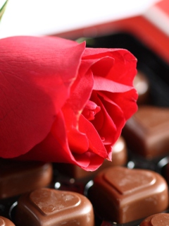 Screenshot №1 pro téma Chocolate And Rose 240x320