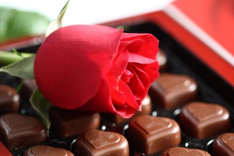 Das Chocolate And Rose Wallpaper 480x320