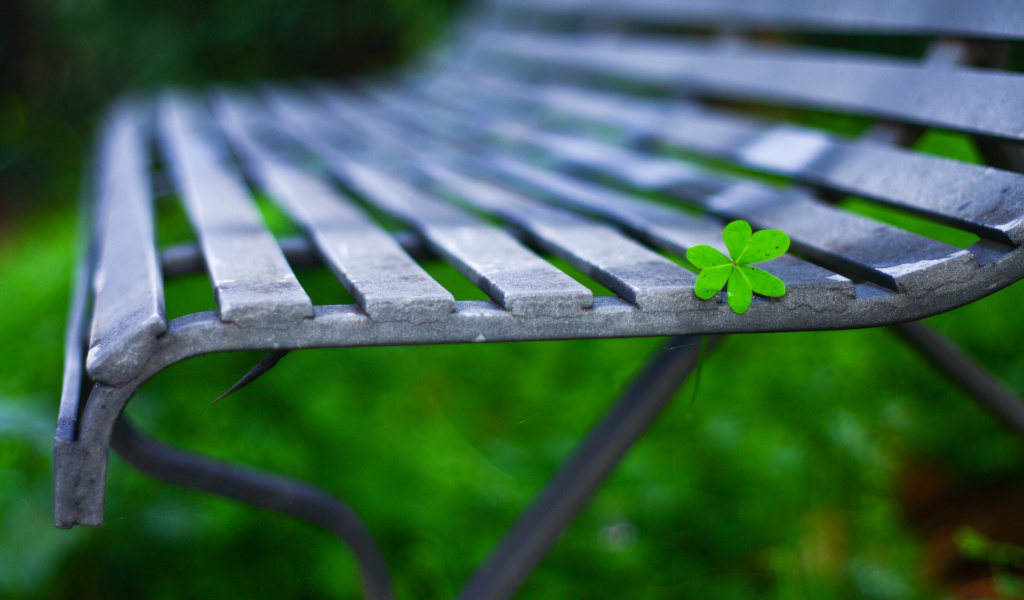 Fondo de pantalla Macro green leaf 1024x600