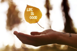 Life Is Good - Obrázkek zdarma pro Motorola DROID 3