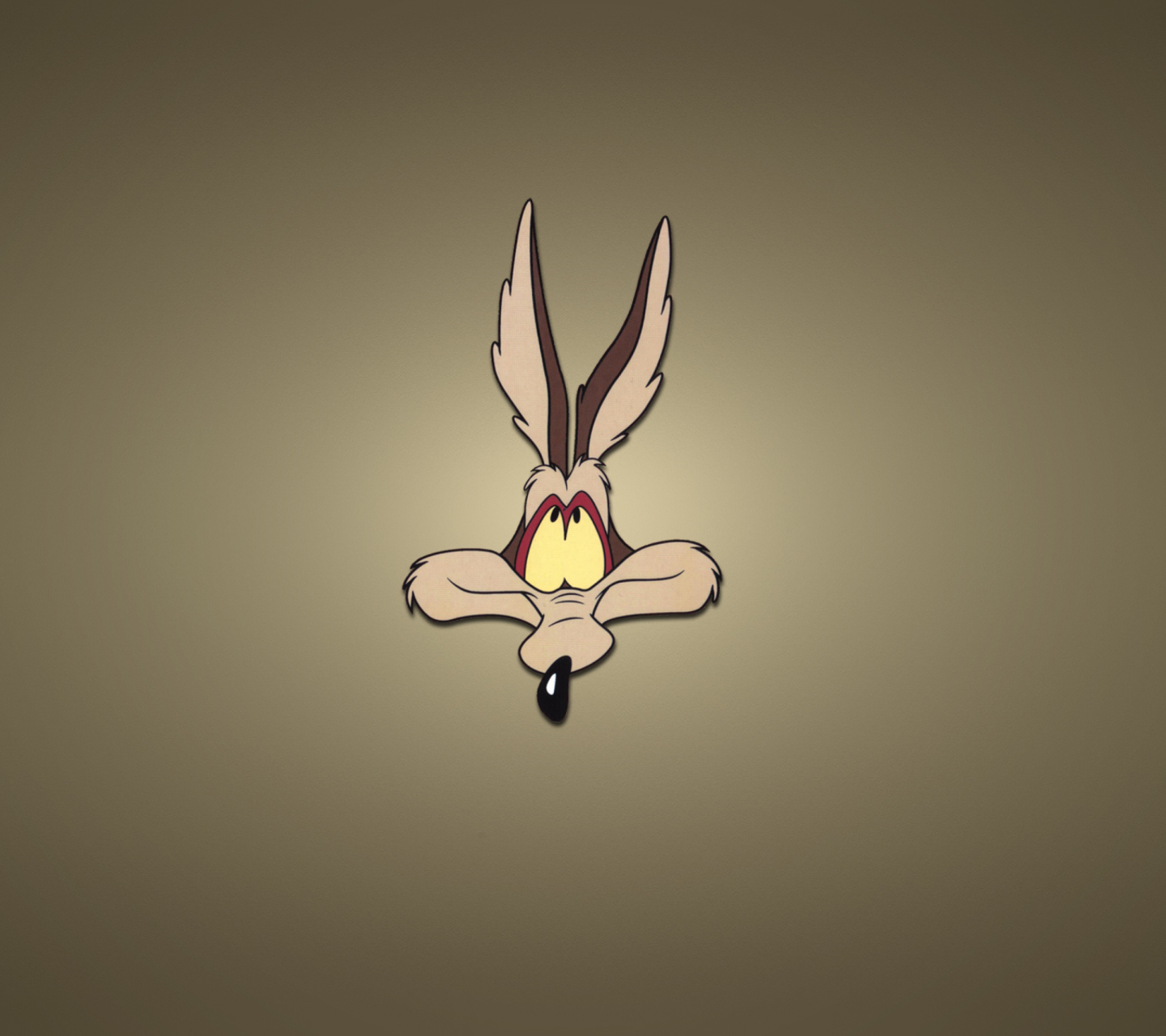 Das Looney Tunes Wile E. Coyote Wallpaper 1440x1280