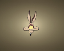 Fondo de pantalla Looney Tunes Wile E. Coyote 220x176