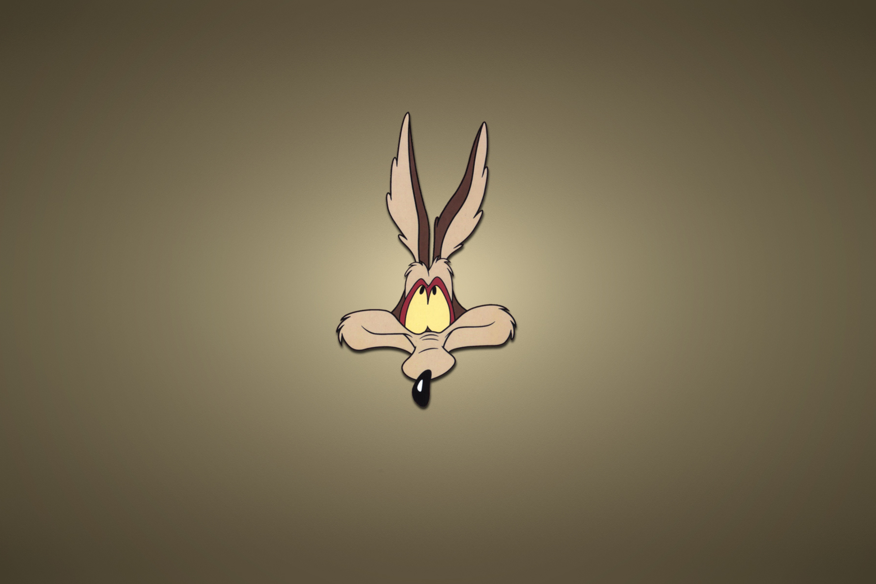 Обои Looney Tunes Wile E. Coyote 2880x1920