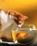 Screenshot №1 pro téma Cat Looking at Fish 128x160