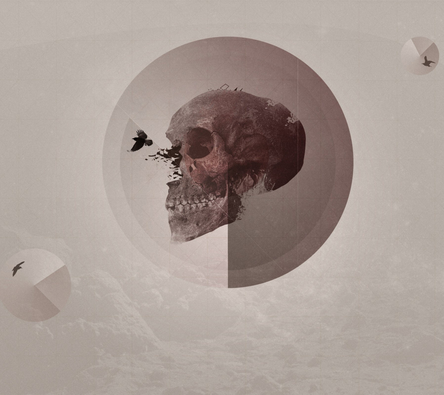 Screenshot №1 pro téma Skull 1440x1280