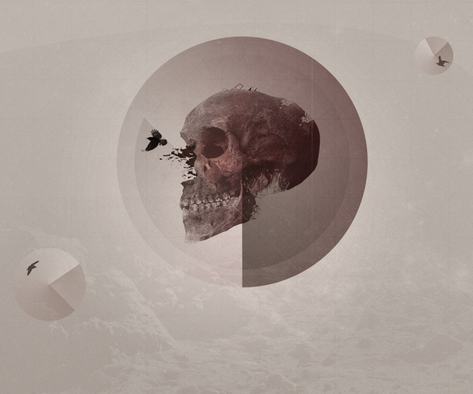 Fondo de pantalla Skull 960x800