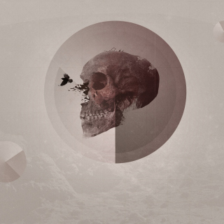 Skull - Obrázkek zdarma pro iPad