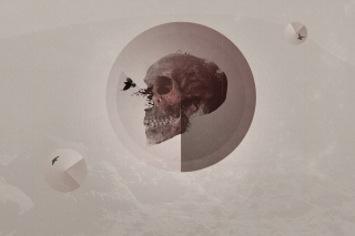 Skull - Obrázkek zdarma pro 640x480