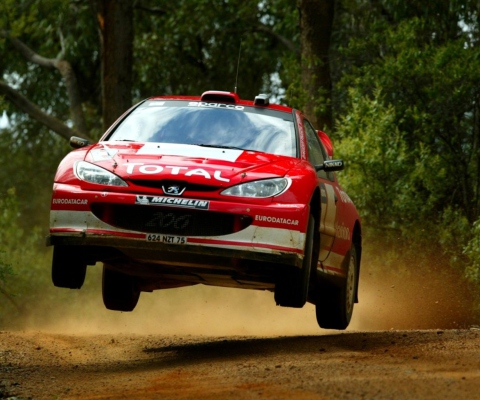 Fondo de pantalla Auto Racing WRC Peugeot 480x400