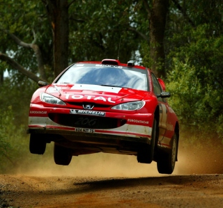 Auto Racing WRC Peugeot - Obrázkek zdarma pro 208x208