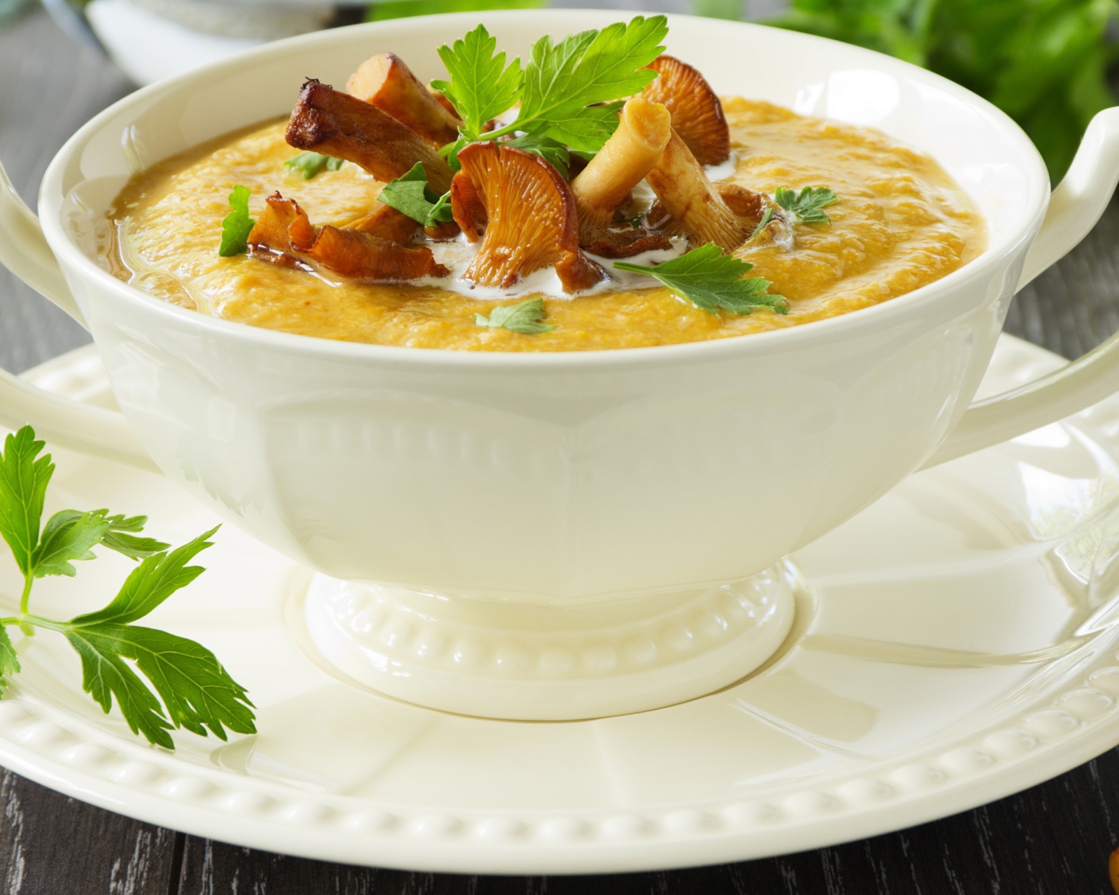 Sfondi Cream of Chanterelle Mushroom Soup 1600x1280