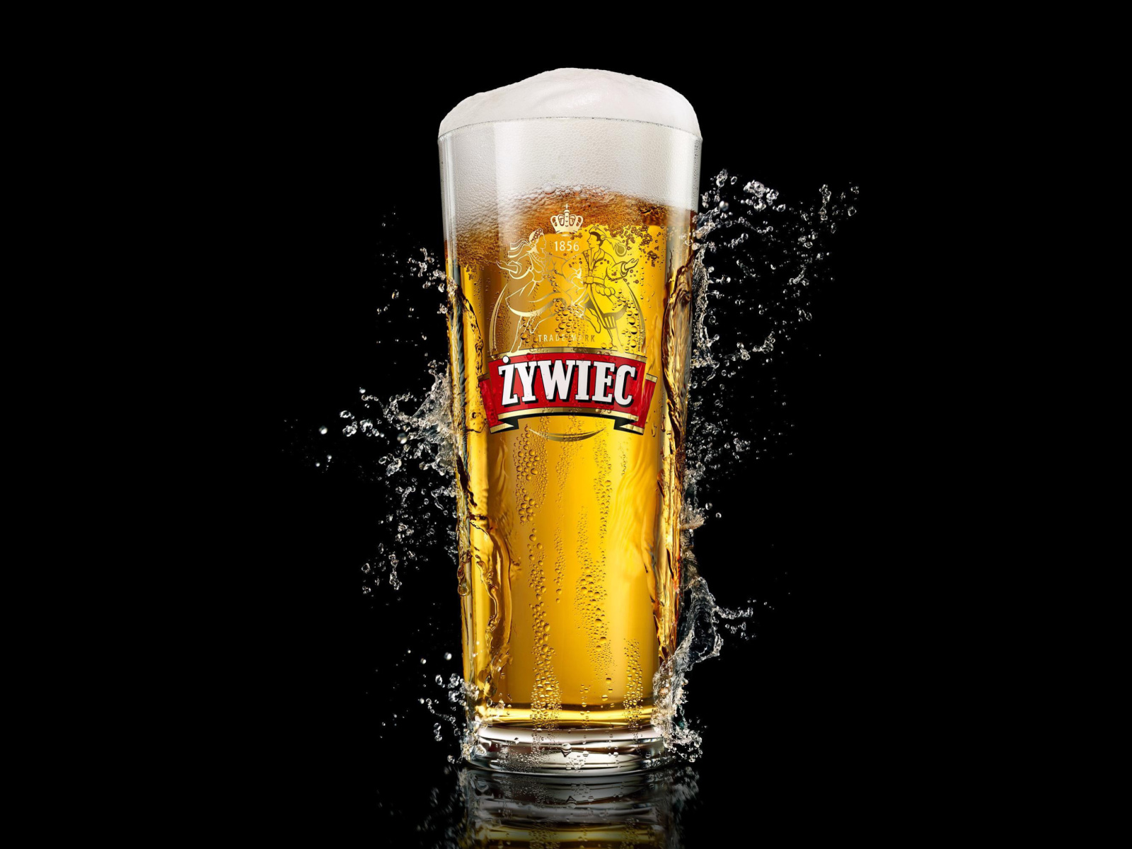 Screenshot №1 pro téma Zywiec Beer 1600x1200