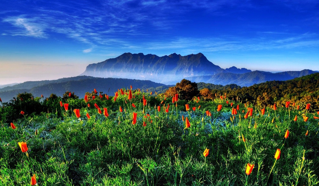 Spring has come to the mountains Thailand Chiang Dao wallpaper 1024x600