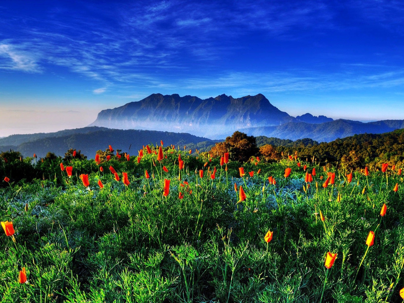 Screenshot №1 pro téma Spring has come to the mountains Thailand Chiang Dao 1400x1050